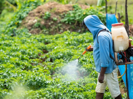 The Role of Industrial Raw Materials in Crop Protection and Pesticide Formulation