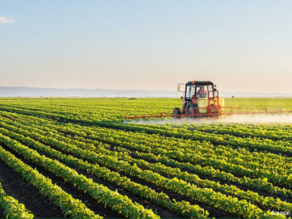 Chemical Raw Materials for Fertilizer Production: From Bulk Supply to Final Blend
